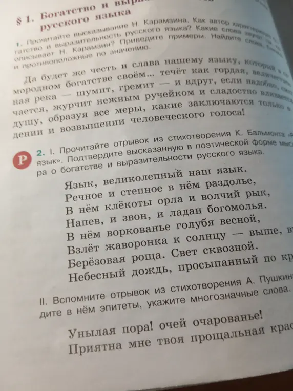 Подтверди высказанную в поэтической форме мысль о богатстве и выразительности русского языка в стихотворении К. Бальмонта.