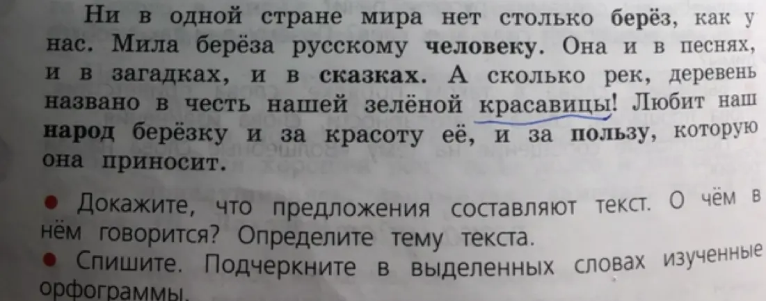 Докажите, что предложения составляют текст. О чём в нём говорится? Определите тему текста.