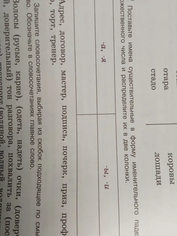 Поставьте имена существительные в форму именительного падежа множественного числа и распределите их в две колонки: с окончаниями -ы, -и и с окончаниями -а, -я