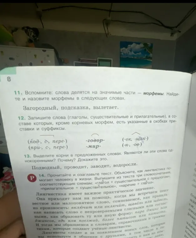 Найти и назвать морфемы в словах: Загородный, подсказка, вылетает.