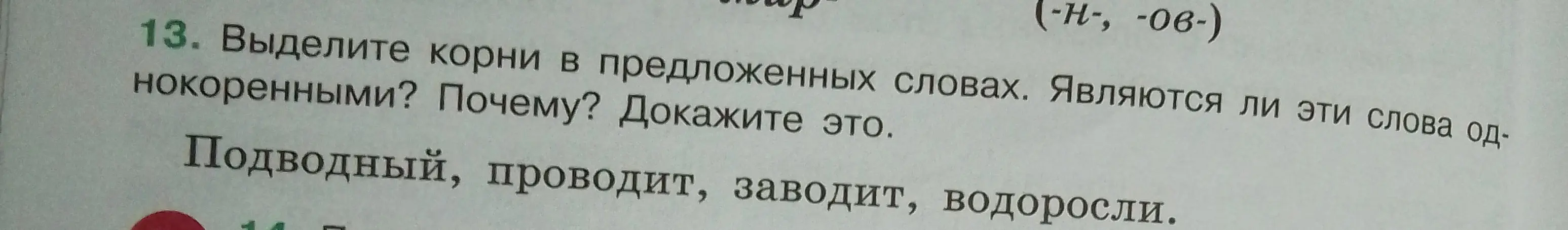 Выдели корни в предложенных словах: подводный, проводит, заводит, водоросли. Являются ли эти слова однокоренными? Почему? Докажи это.