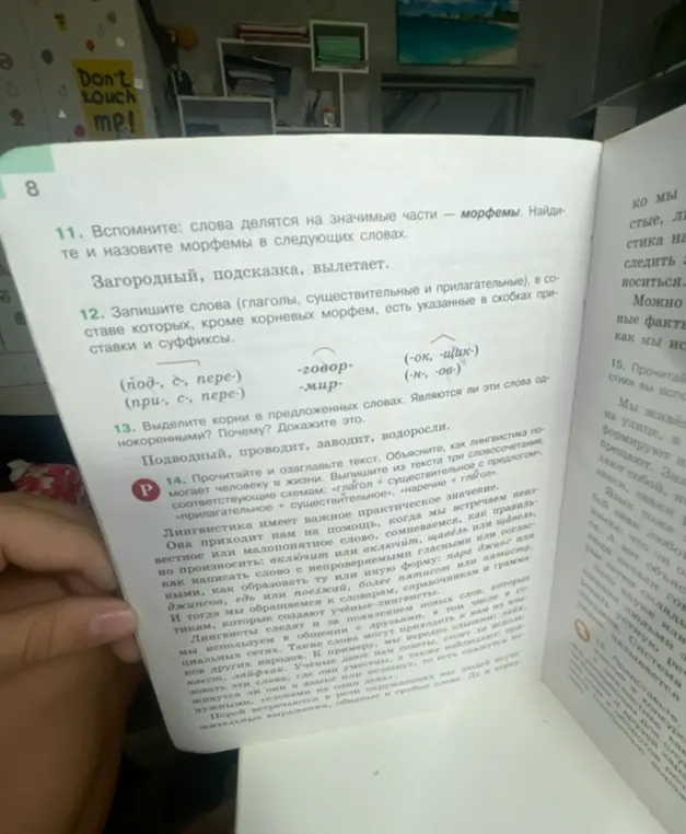 Вспомни, как делятся слова на значимые части — морфемы. Найди и назови морфемы в следующих словах: Загородный, подсказка, вылетает.