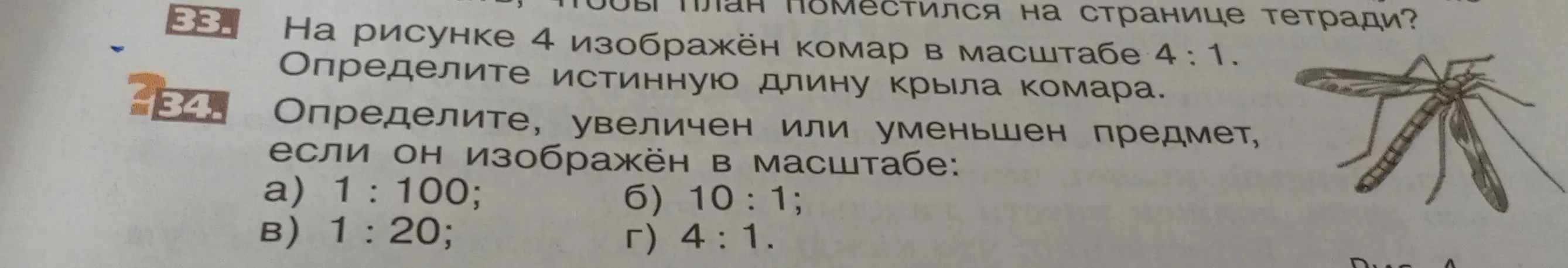Определи истинную длину крыла комара на рисунке 4, изображённого в масштабе 4:1.