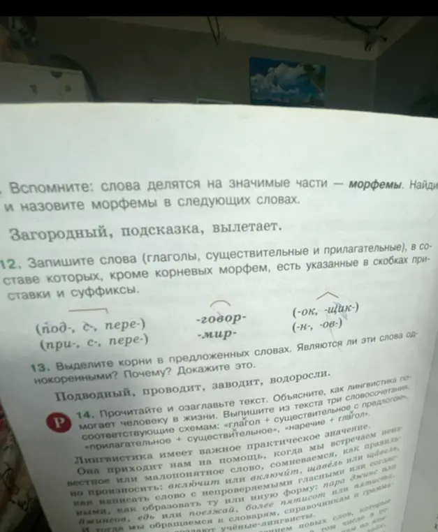 Найди и назови морфемы в словах: Загородный, подсказка, вылетает.