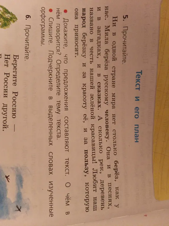 Докажи, что предложения составляют текст. О чём в нём говорится?