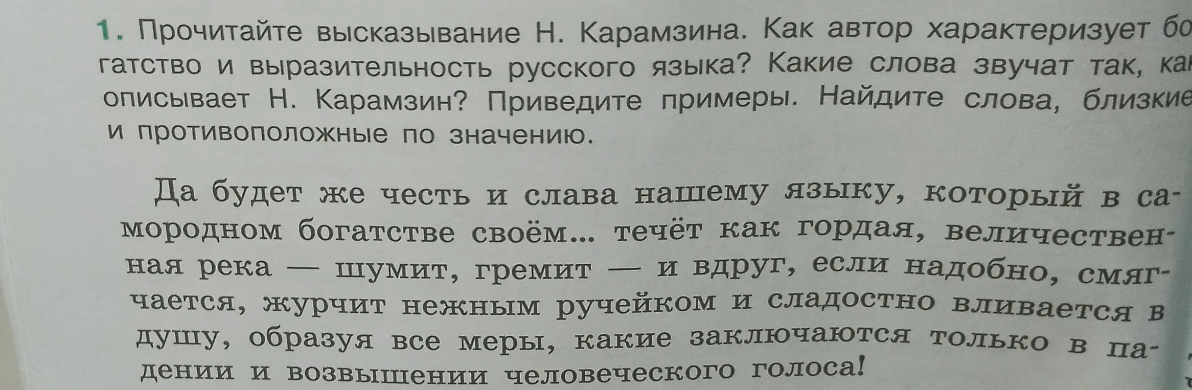 Прочитай высказывание Н. Карамзина. Как автор характеризует богатство и выразительность русского языка?