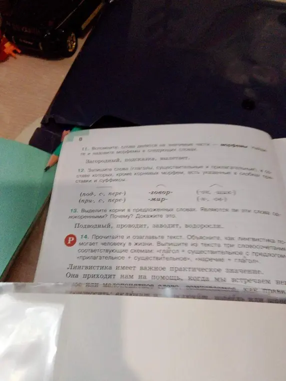 Выполни задания из упражнения: разбери по составу слова загородный, подсказка, вылетает; выдели корни в словах подводный, проводит, заводит, водоросль и скажи, являются ли они однокоренными; прочитай текст и озаглавь его, объясни, как лингвистика помогает человеку в жизни, выпиши из текста три словосочетания по схемам.