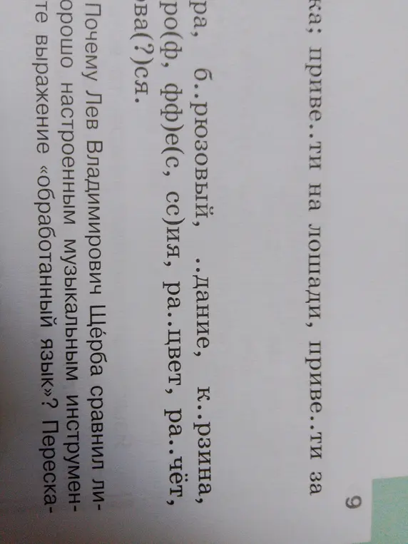 Почему Лев Владимирович Щерба сравнил лингвистику с хорошо настроенным музыкальным инструментом?