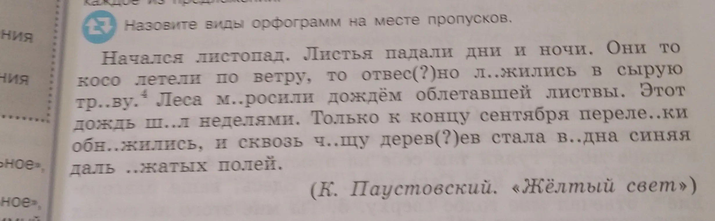 Назови виды орфограмм на месте пропусков в тексте.