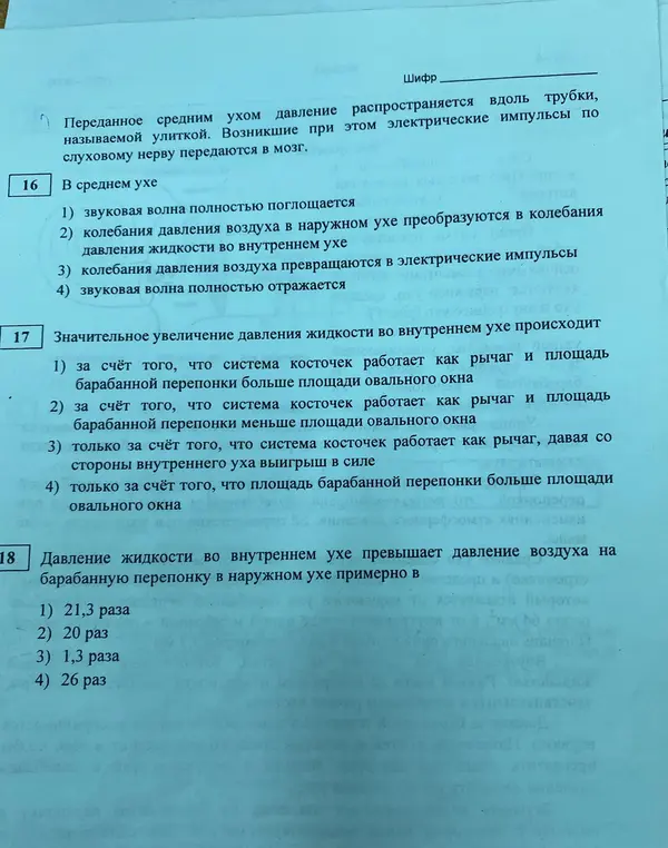 Как работает среднее ухо?