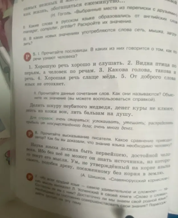 В каких пословицах говорится о том, как по речи узнают человека?
