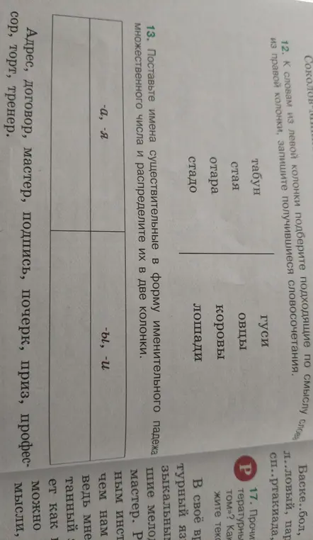 Поставь имена существительные в форму именительного падежа множественного числа и распредели их в две колонки.