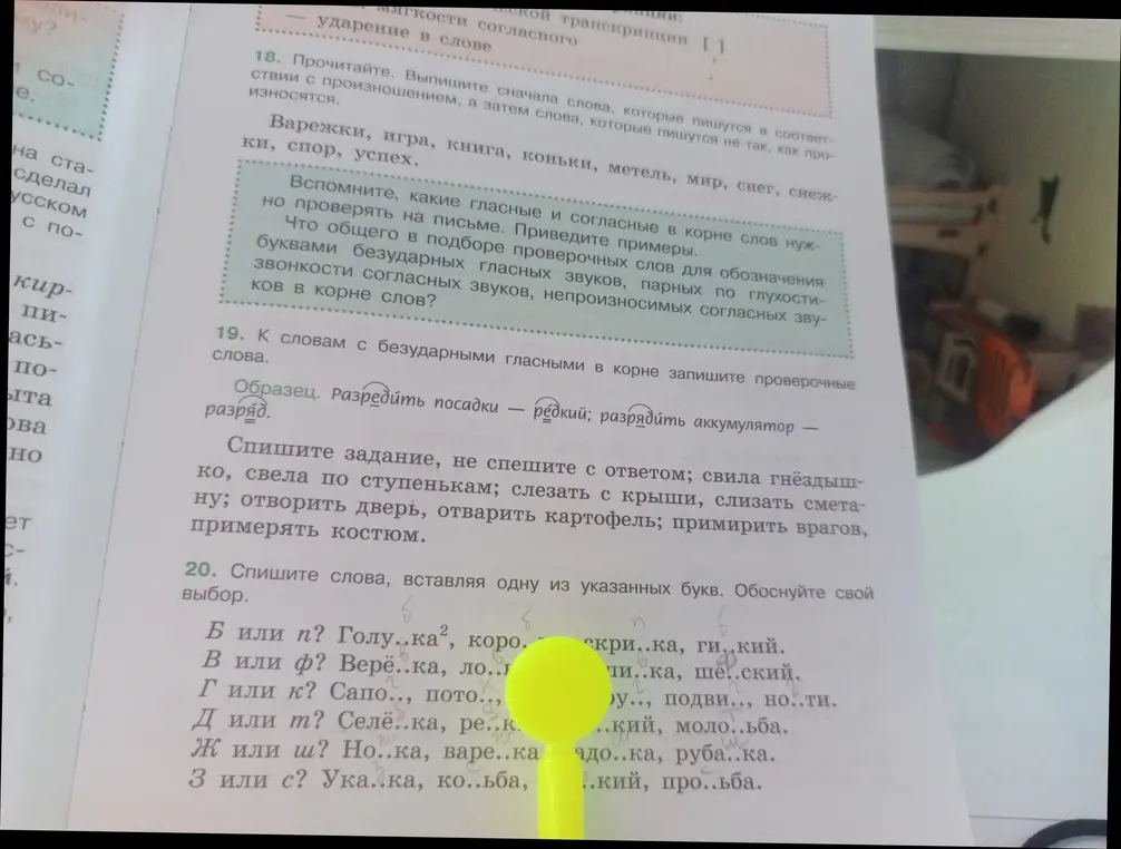 Выпиши слова, которые пишутся в соответствии с произношением, а затем слова, которые пишутся не так, как произносятся.