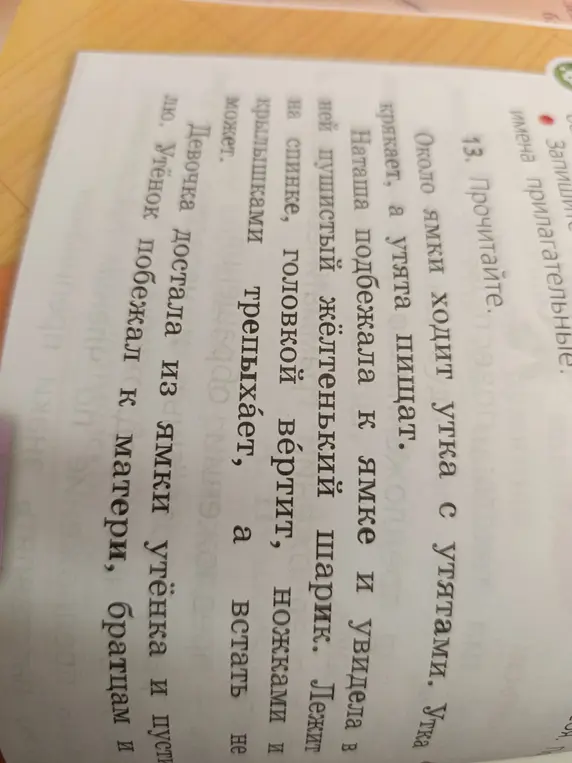 Прочитай текст.