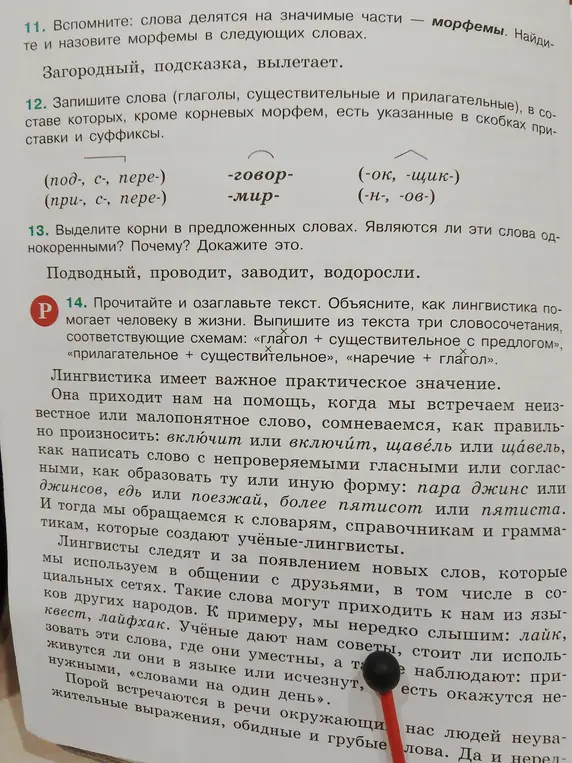 Назови морфемы в словах "загородный, подсказка, вылетает"; запиши слова с заданными приставками и суффиксами; выдели корни в словах "подводный, проводит, заводит, водоросли" и объясни, являются ли они однокоренными; прочитай текст, озаглавь его, объясни, как лингвистика помогает человеку, и выпиши три словосочетания по схемам.