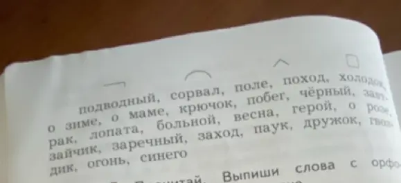 Выпиши слова с орфограммой «Непроверяемая безударная гласная в корне» из списка слов: подводный, сорвал, поле, поход, холодок, о зиме, о маме, крючок, побег, чёрный, заяц, рак, лопата, больной, весна, герой, о розе, зайчик, заречный, заход, паук, дружок, гвоздик, огонь, синего.
