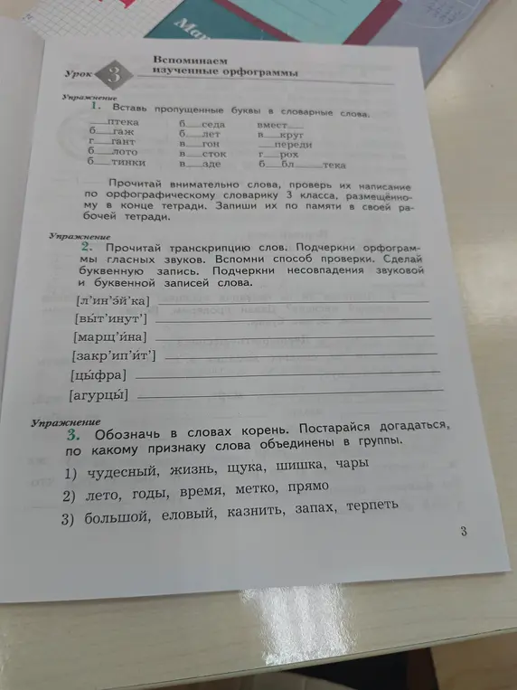 Вставь пропущенные буквы в словарные слова.