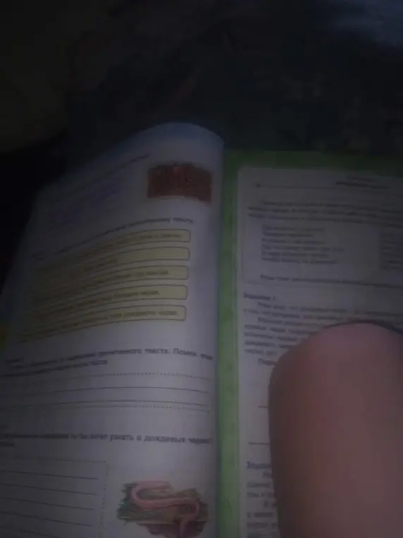Расскажи, что дождевые черви