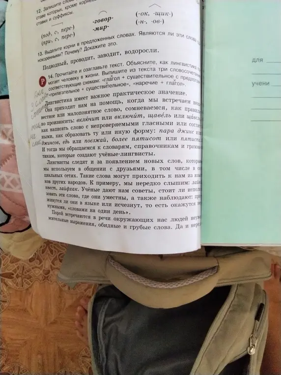 Выдели корни в предложенных словах: Подводный, проводит, заводит, водоросли. Являются ли эти слова однокоренными? Почему? Докажи это.
