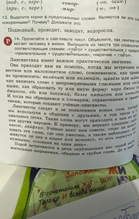 Выдели корни в словах "Подводный, проводит, заводит, водоросли", определи, являются ли они однокоренными, и объясни, как лингвистика помогает человеку в жизни.