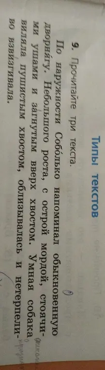 Прочитай три текста.