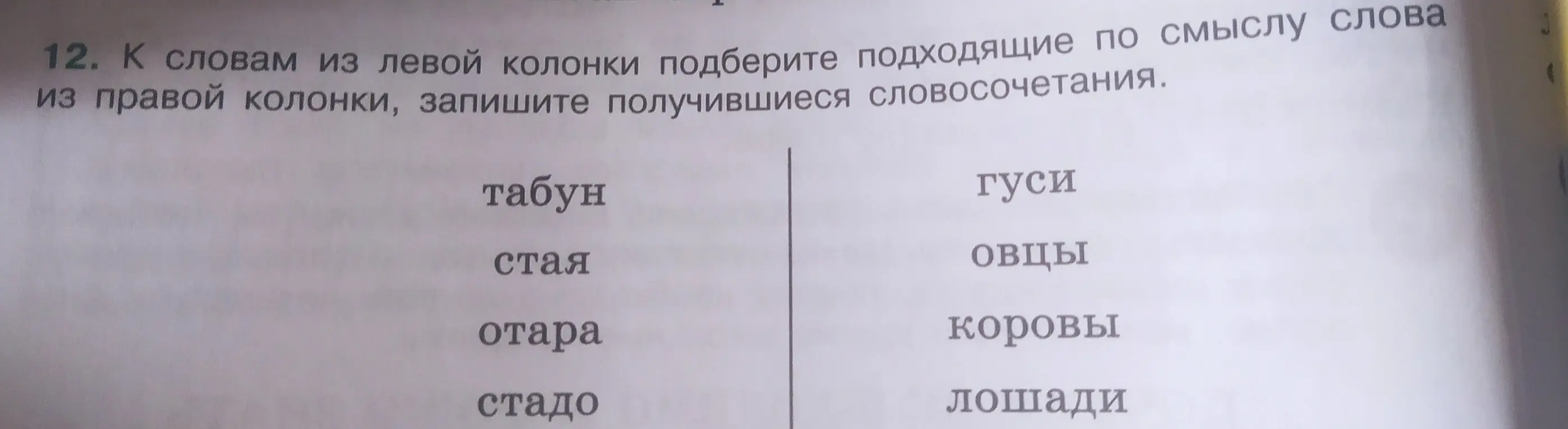 Подбери подходящие по смыслу слова из правой колонки к словам из левой колонки и запиши получившиеся словосочетания.