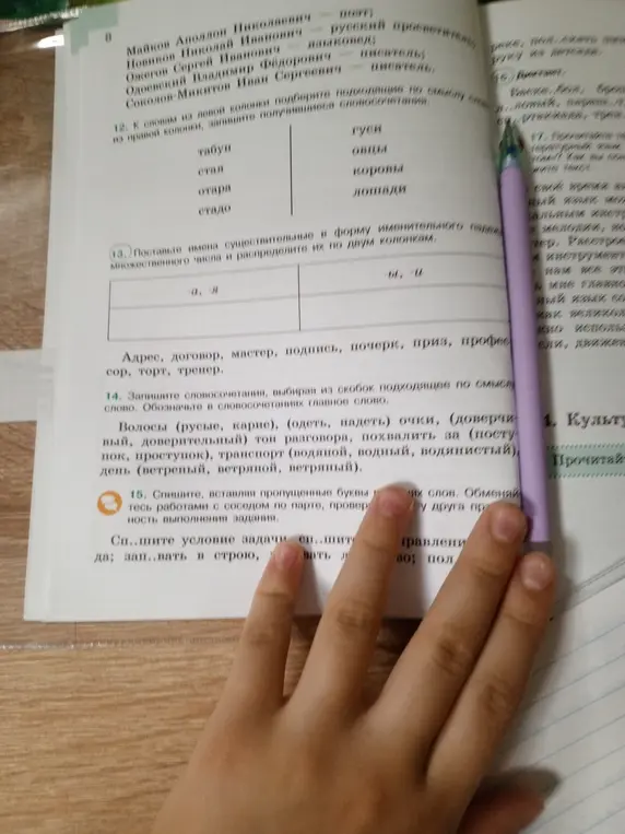 Поставь имена существительные в форму именительного падежа множественного числа и распредели их по двум колонкам.