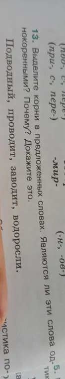 Выдели корни в предложенных словах. Являются ли эти слова однокоренными? Почему? Докажи это.