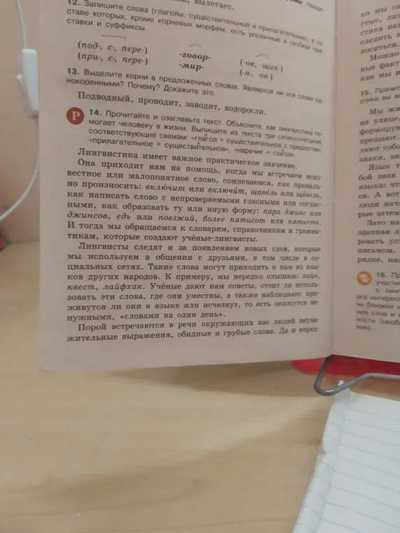 Выдели корни в предложенных словах: подводный, проводит, заводит, водоросли. Являются ли эти слова однокоренными? Почему? Докажи это.