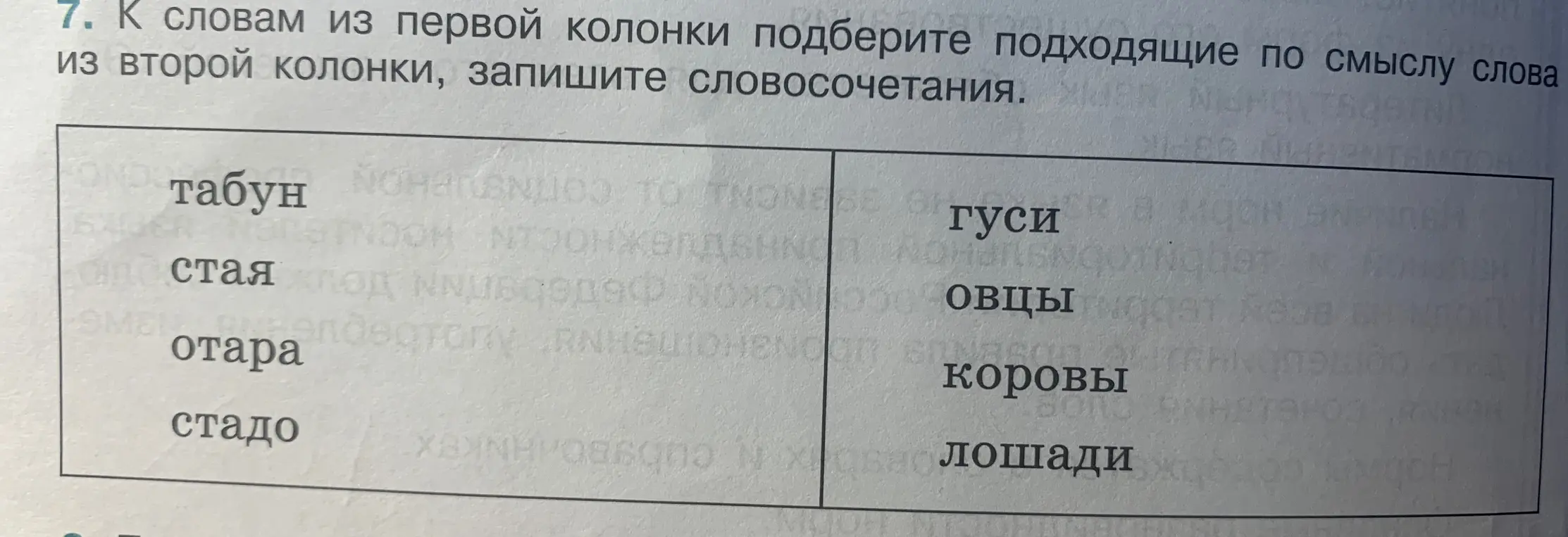 Подбери подходящие по смыслу слова из второй колонки к словам из первой колонки и запиши словосочетания: таб$\_$$\_$ун, стая, отара, стадо.