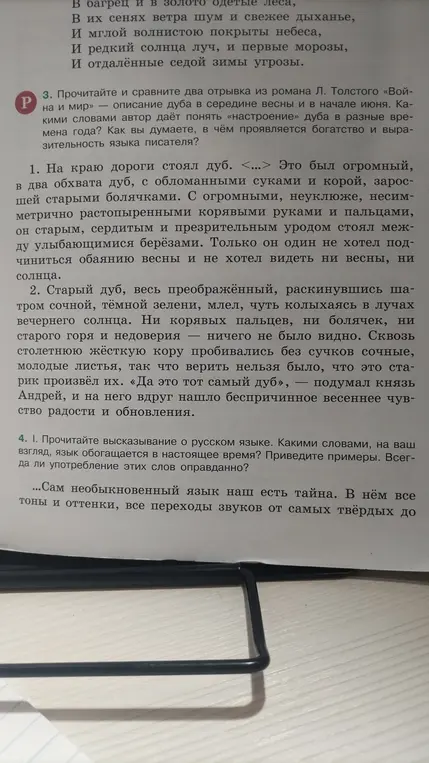 Найди все прилагательные+существительные в тексте.
