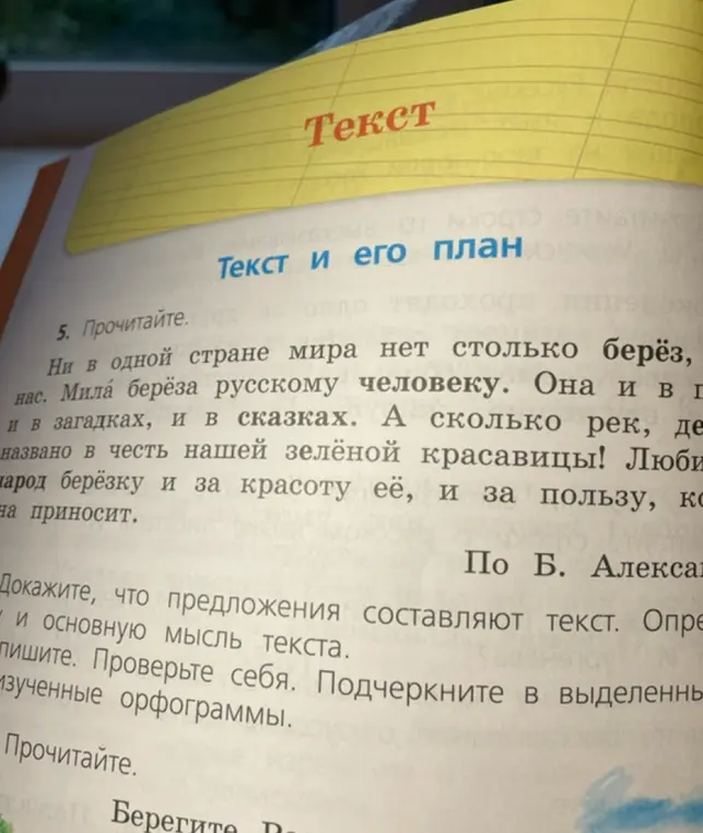 Докажи, что предложения составляют текст. Определи тему и основную мысль текста.