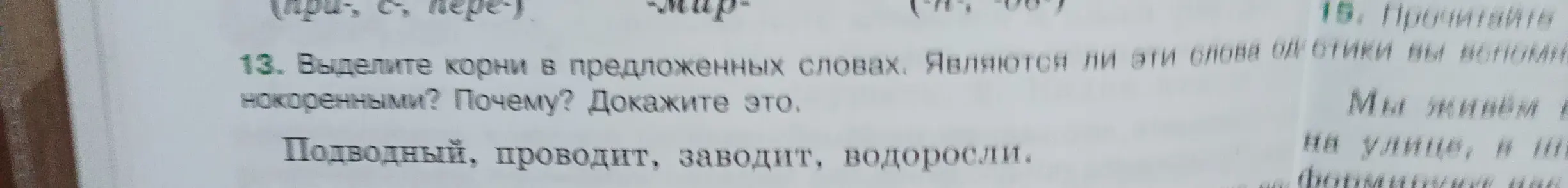 Выдели корни в предложенных словах: Подводный, проводит, заводит, водоросли. Являются ли эти слова однокоренными? Почему? Докажи это.