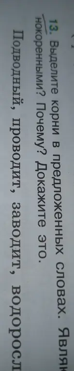 Выдели корни в предложенных словах и объясни, являются ли они однокоренными