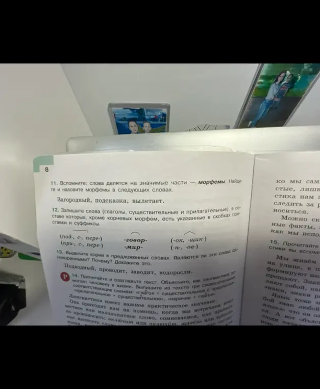 Ты просишь найти и назвать морфемы в словах: загородный, подсказка, вылетает.
