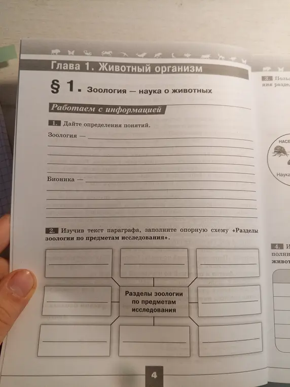 Дай определения понятиям "Зоология" и "Бионика" и заполни опорную схему «Разделы зоологии по предметам исследования».