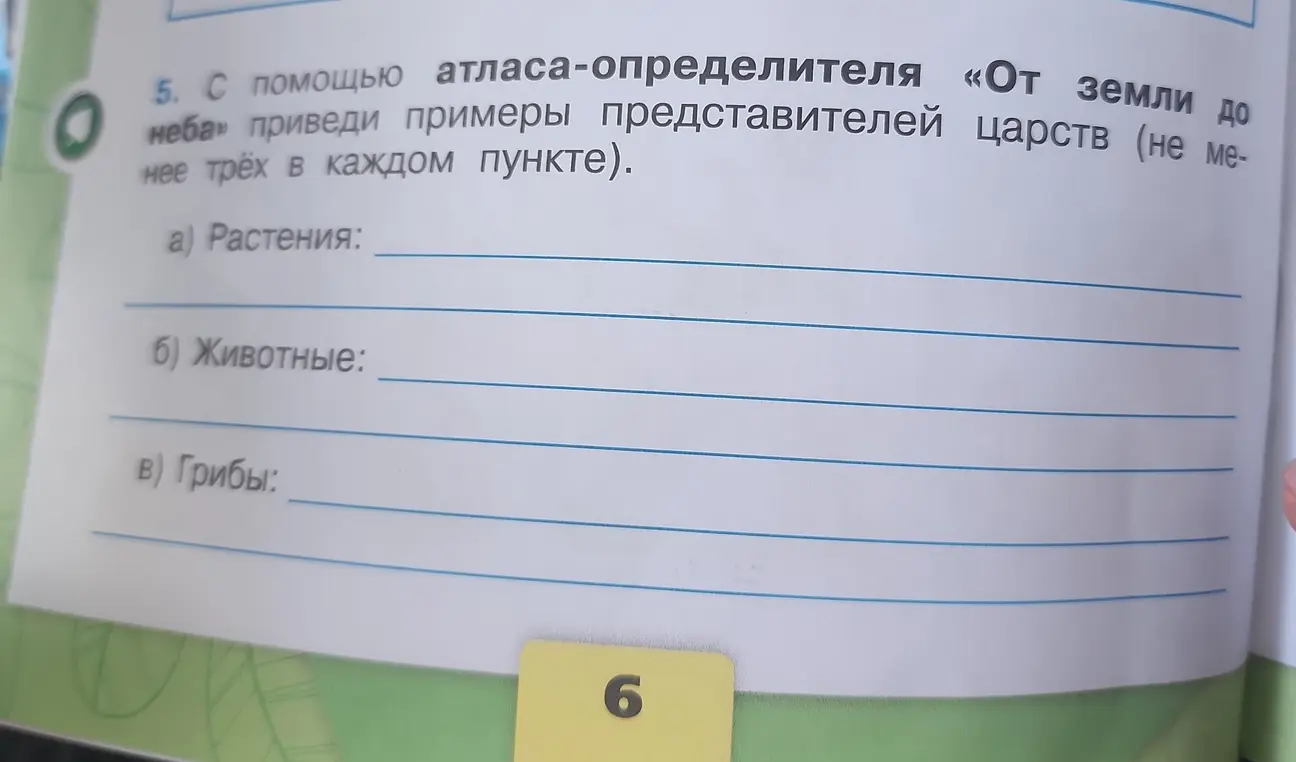 Ты просишь привести примеры представителей царств растений, животных и грибов.