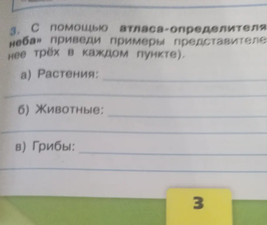 Можешь привести примеры представителей растений, животных и грибов?