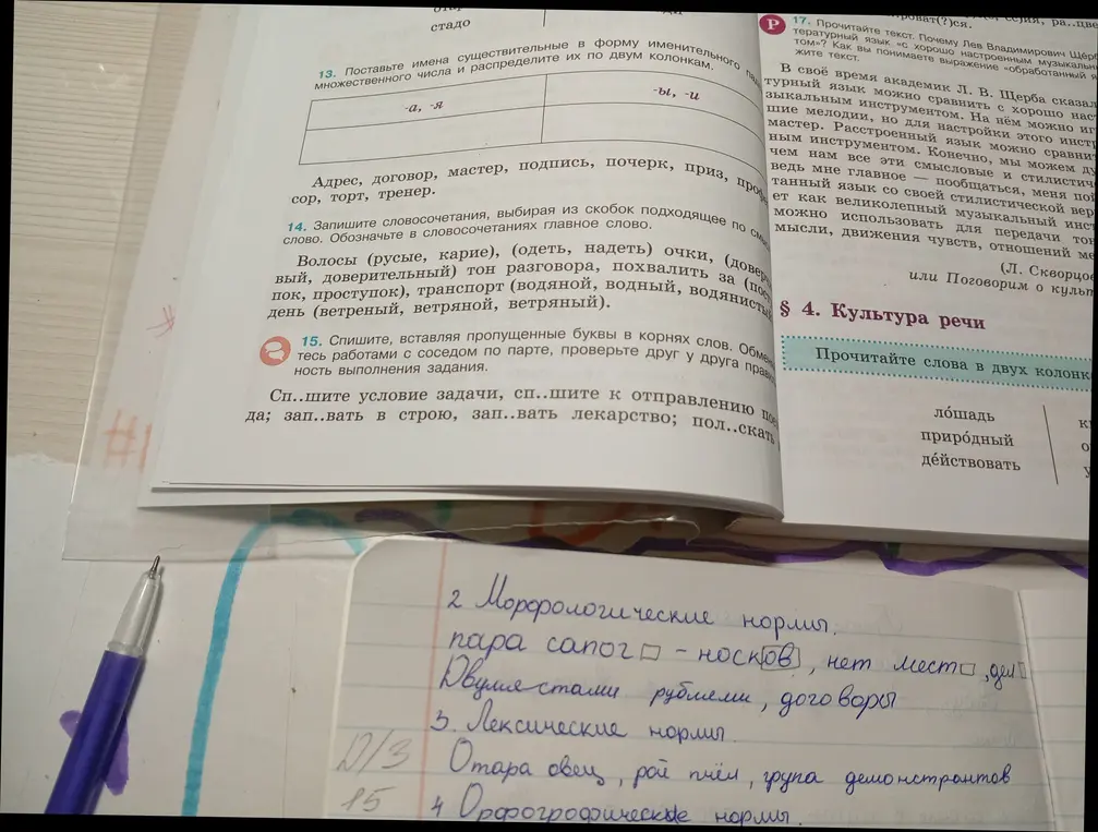 Помоги с упражнениями по русскому языку: 13. Поставьте имена существительные во множественном числе и распределите их по двум колонкам.