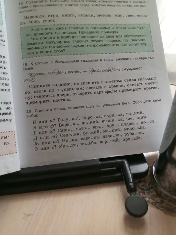 Вставь пропущенные буквы Б или П в слова Голу..ка, коро..ка, скри..ка, ги..кий и обоснуй свой выбор