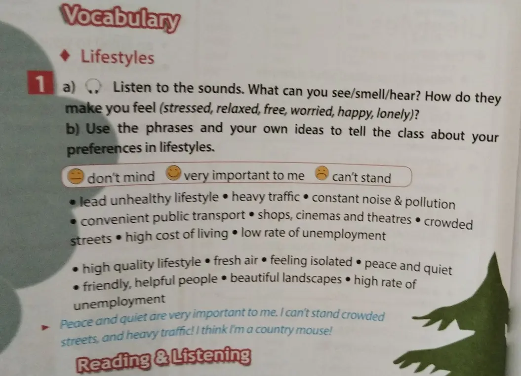 Помоги с упражнением 1 a) и b) на странице Vocabulary, lifestyles