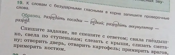 Подбери проверочные слова к словам с безударной гласной в корне в задании 19