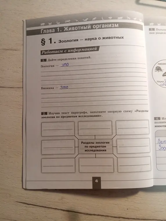 Ты просишь дать определения понятиям зоология и бионика, а также заполнить схему "Разделы зоологии по предметам исследования"