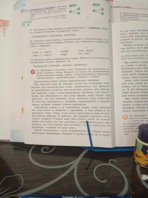 Выдели морфемы в словах 'Загородный, подсказка, вылетает' и корни в словах 'Подводный, проводит, заводит, водоросли'