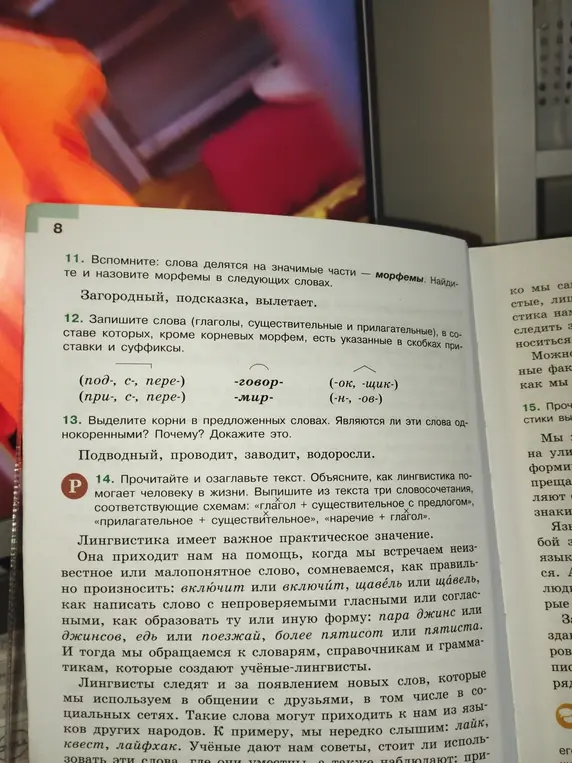 Выполни задание: найди и назови морфемы в словах «загородный», «подсказка», «вылетает».