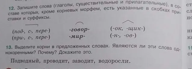 Определи, являются ли однокоренными слова «Подводный, проводит, заводит, водоросли» и докажи это