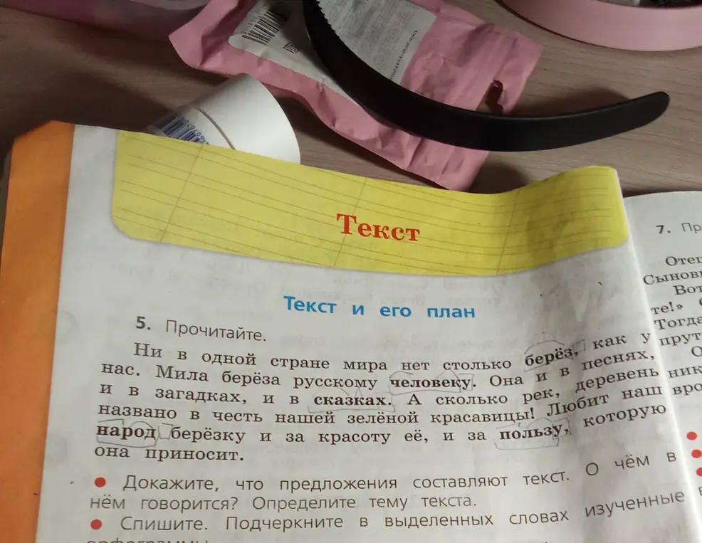 Докажи, что предложения составляют текст и определи тему текста.