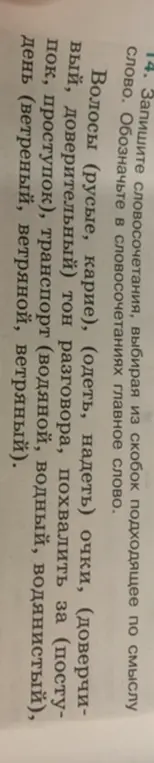 Выбери подходящее по смыслу слово и обозначь главное слово: волосы (русые, карие).