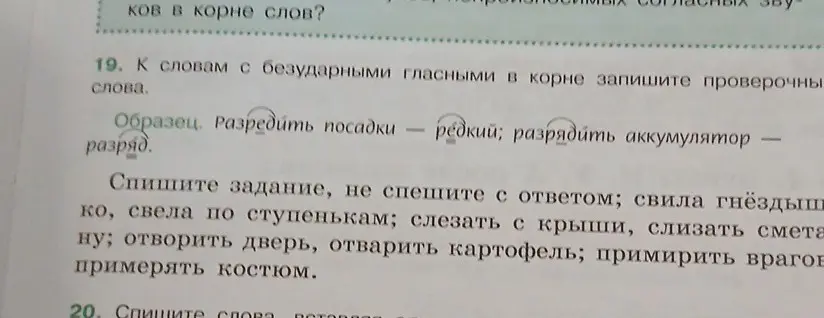 Подбери проверочные слова к словам с безударными гласными в корне: свила гнёздышко