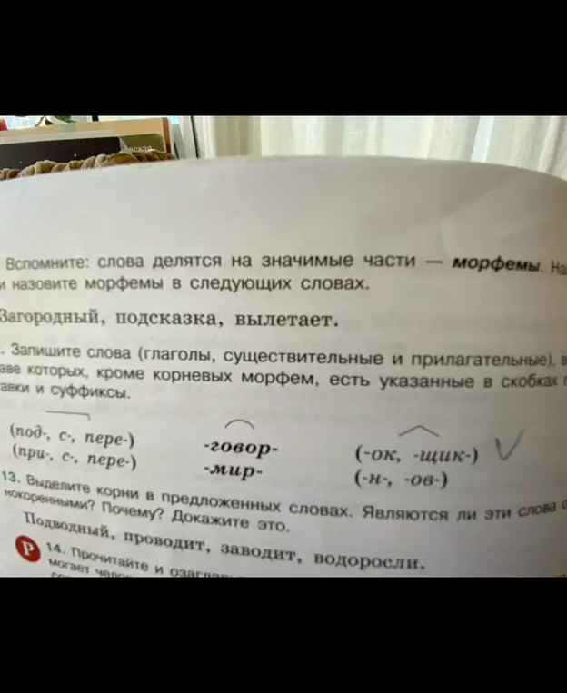 Выдели корни в словах 'Подводный, проводит, заводит, водоросли'. Являются ли эти слова однокоренными?
